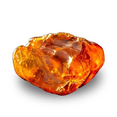 Parfum Précieuse Ambre