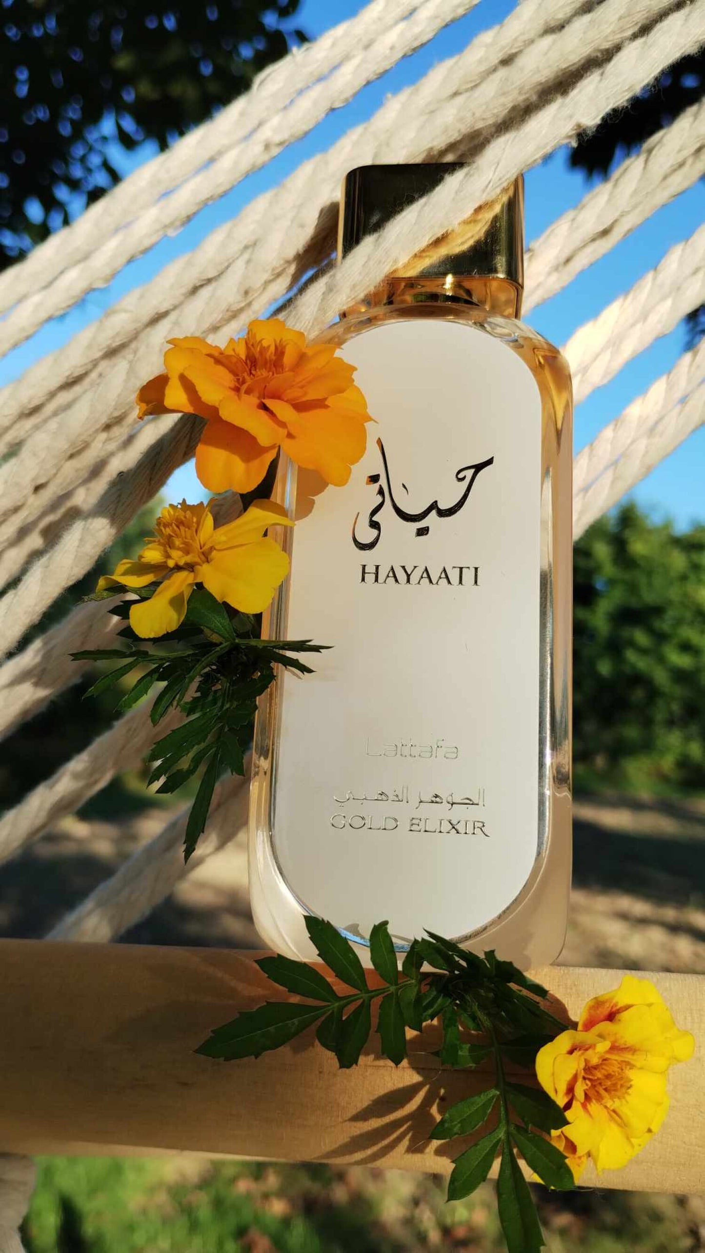 Parfum Hayaati Gold Elixir