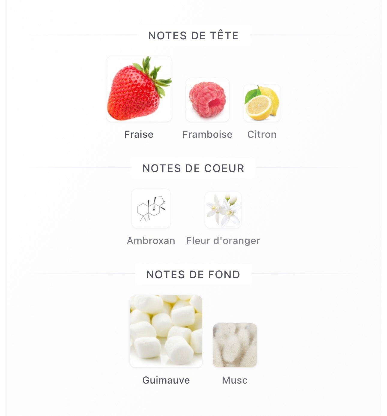 Parfum Marshmallow Blush Original