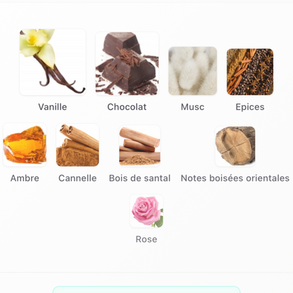 Parfum Choco Musk