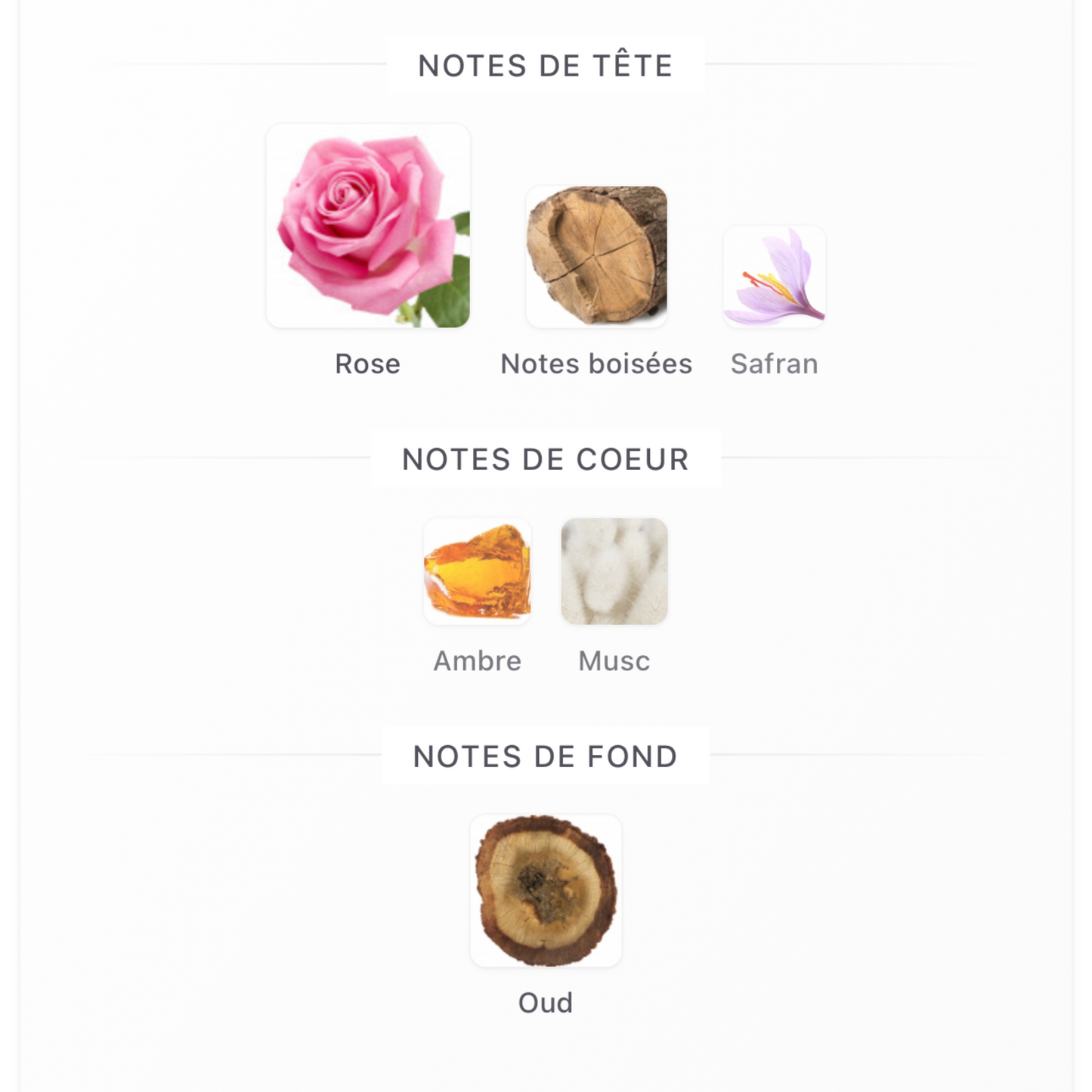 Parfum Oud Al Layl